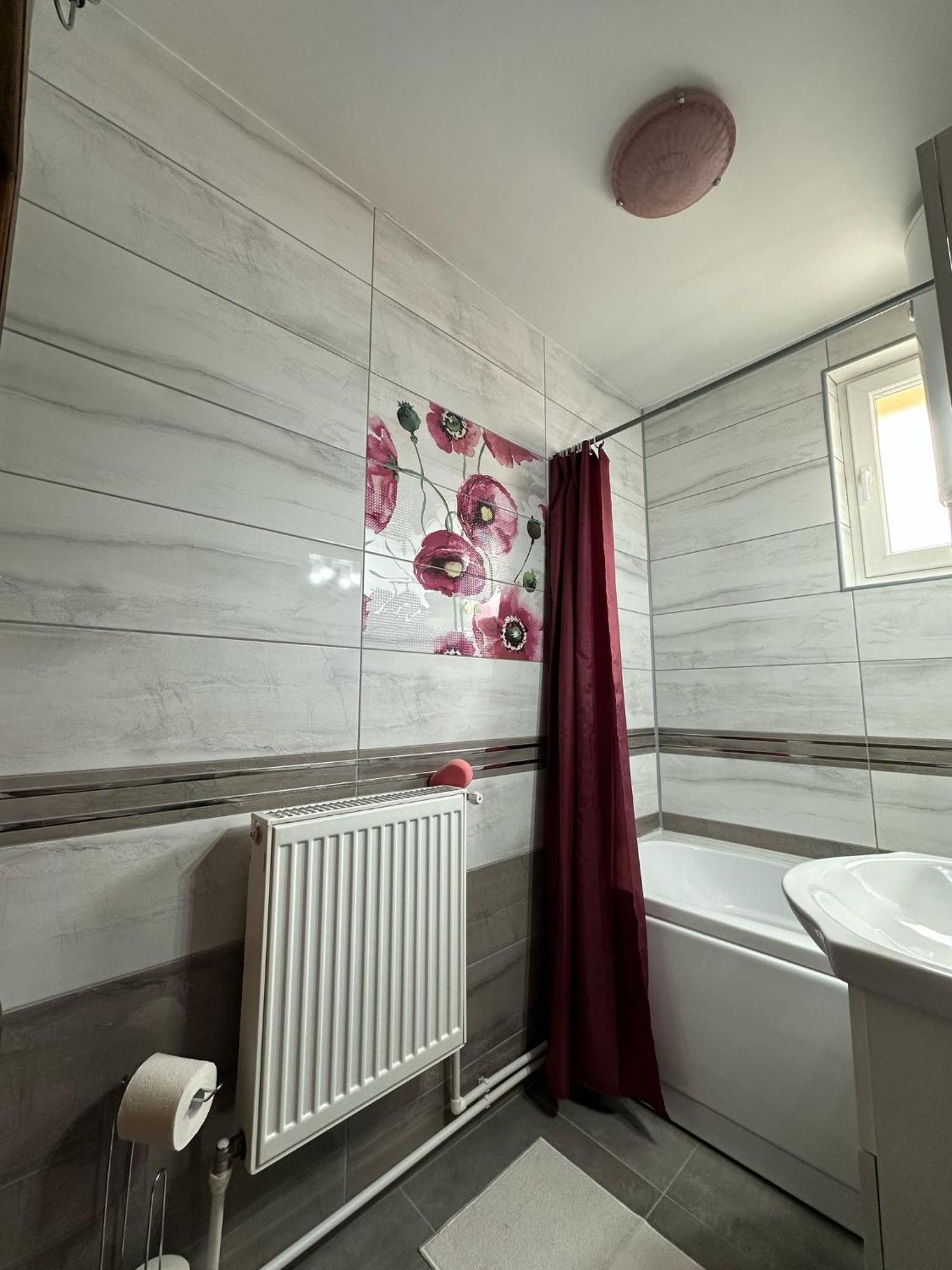 Apartament De Inchiriat Борсек Экстерьер фото